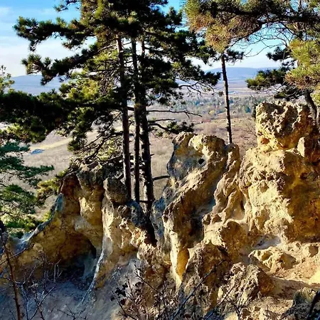 Apartamento Különálló Ház, ősfás, Meditációra Alkalmas Kertben, Saját Kocsibeállóval Budaörs